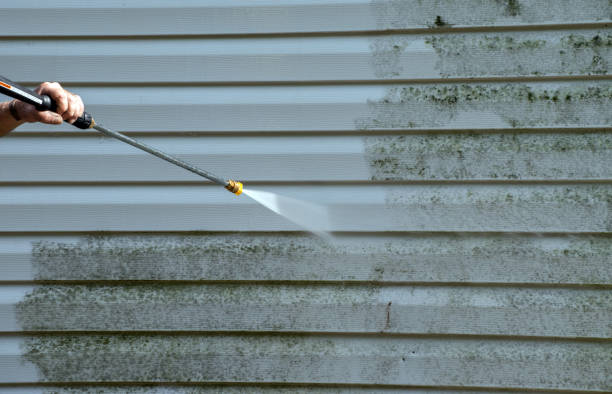 Mold Removal Process in Florala, AL