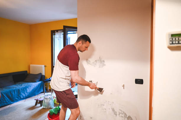 Best Same-Day Mold Removal  in Flora, AL