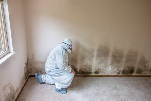 Best Residential Mold Removal  in Flora, AL
