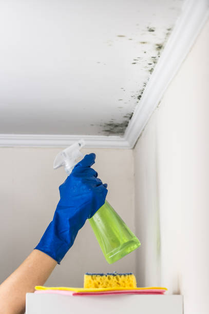 Best Mold Cleaning Services  in Flora, AL